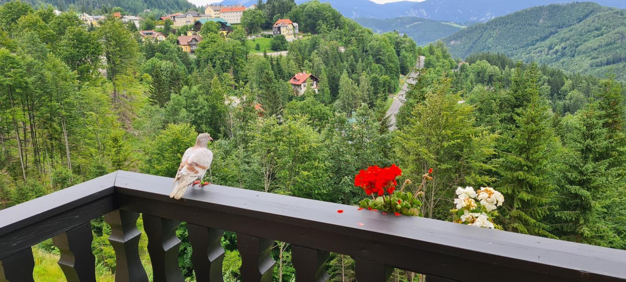 Kurhotel Renona Rehabilitation Semmering Luaran gambar